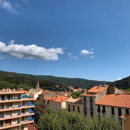 אמלי-לה-באינס-פללדה Hotel Des Bains Et Des Gorges מראה חיצוני תמונה